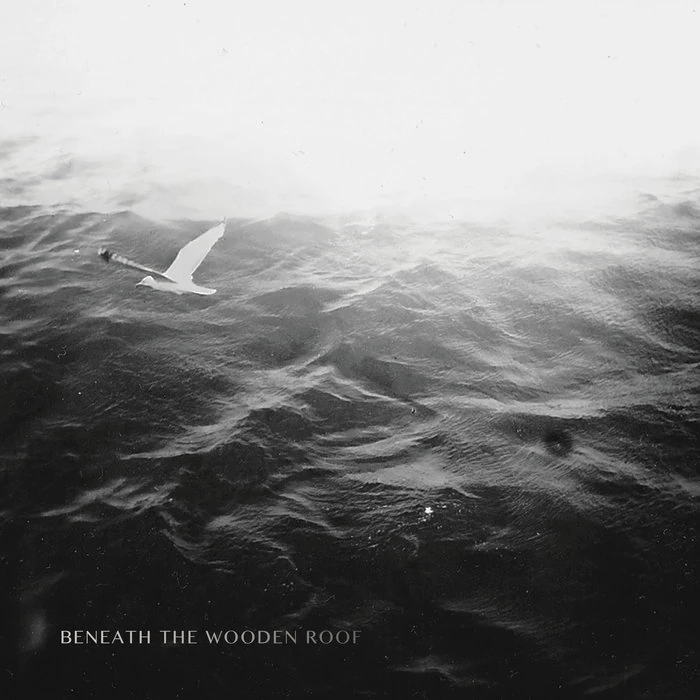 Cover of Beneath the Wooden Roof (Live recorded at Sargfabrik, Vienna)